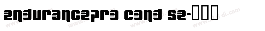 endurancepro Cond se字体转换